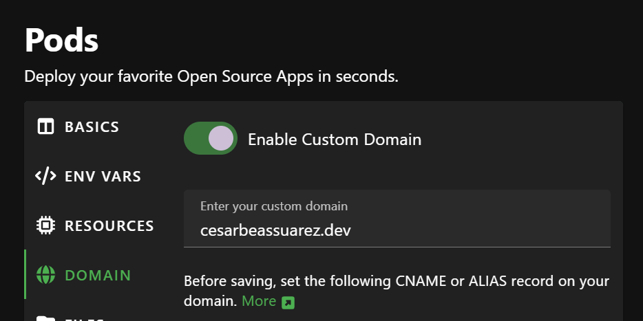 Configuración de dominio personalizado en PikaPods para cesarbeassuarez.dev